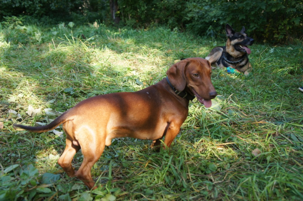 DSC05865.JPG