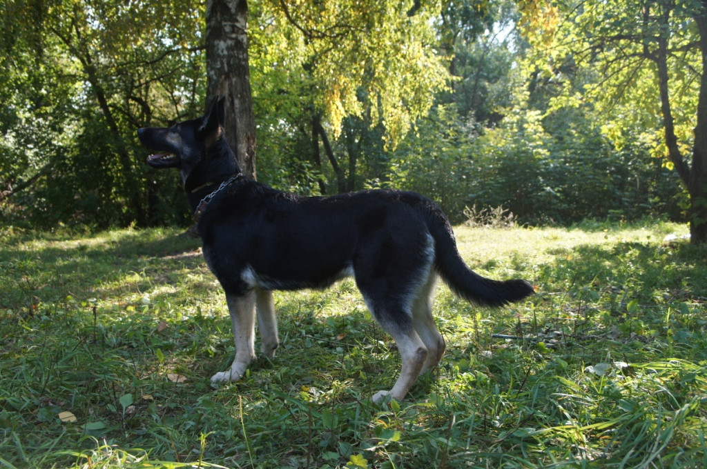 DSC05104.JPG