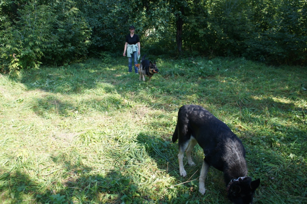 DSC05276.JPG