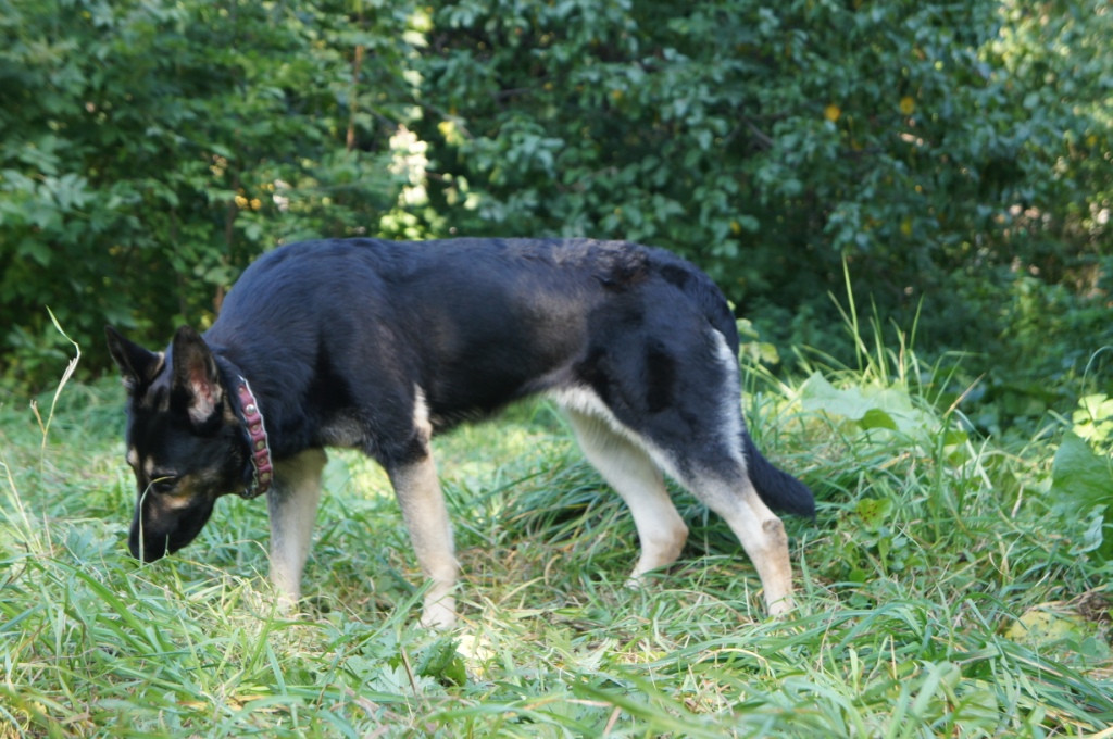 DSC05347.JPG