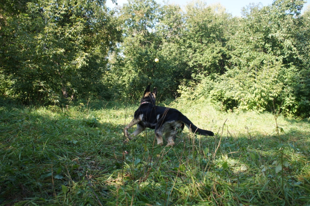 DSC05785.JPG