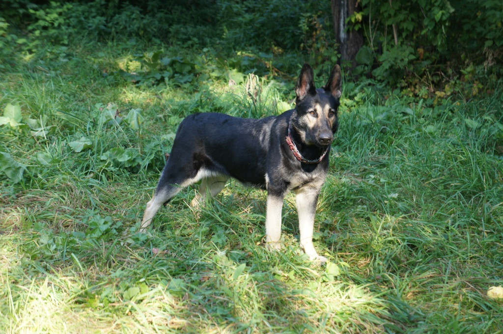 DSC05825.JPG