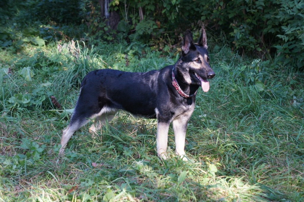DSC05831.JPG