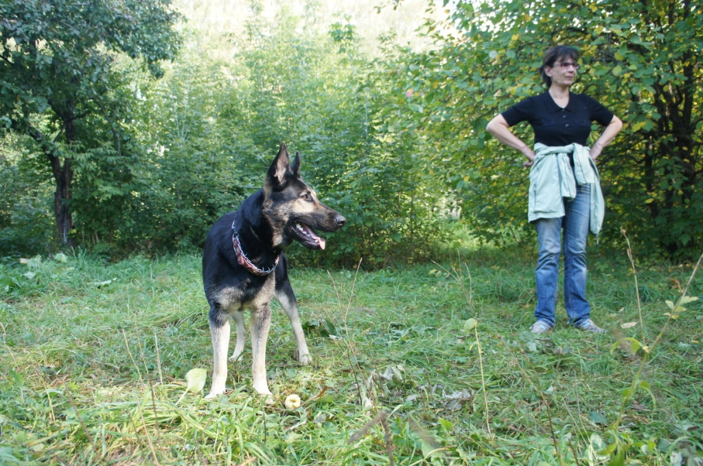 DSC05186.JPG