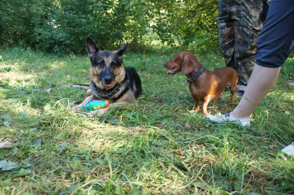 DSC05685.JPG