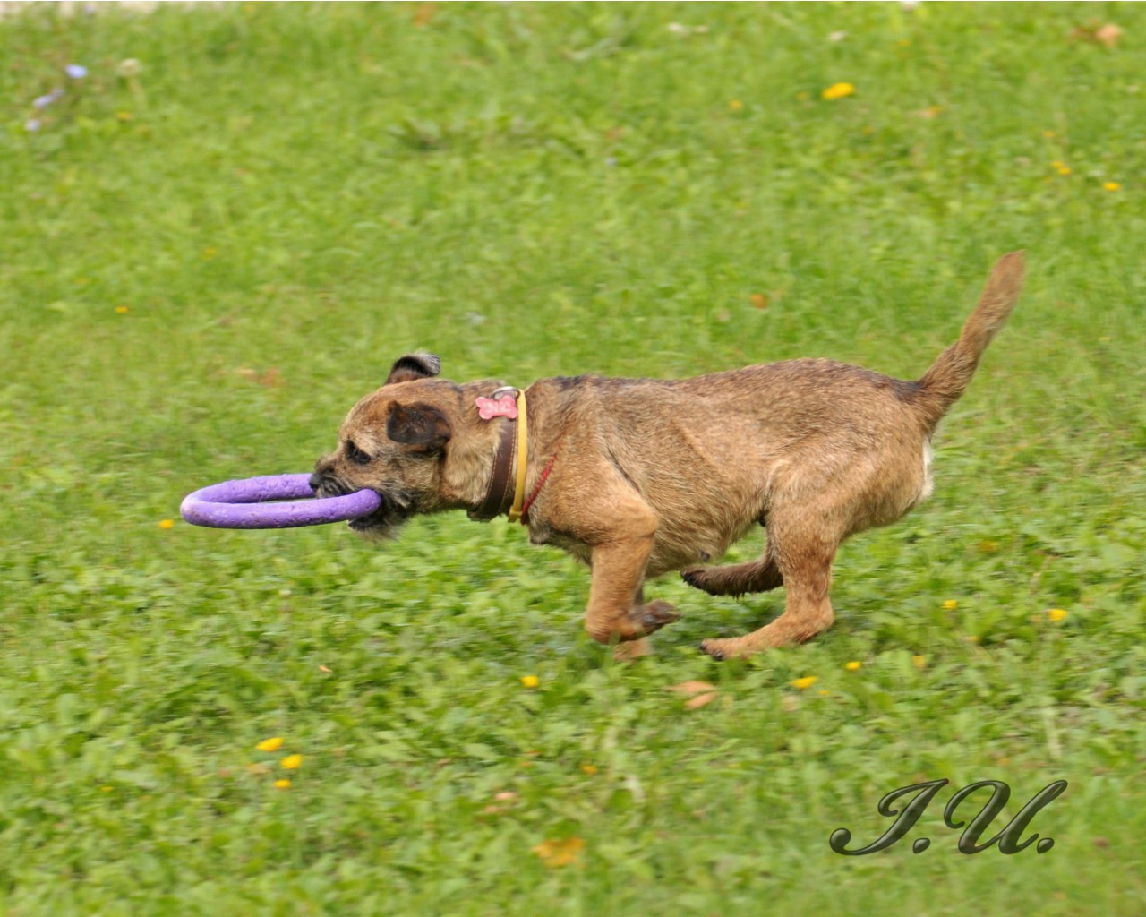 DSC_0005.jpg