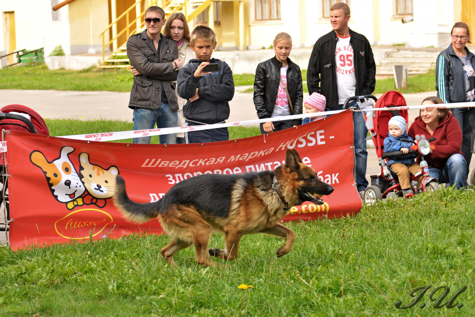 DSC_0017.jpg
