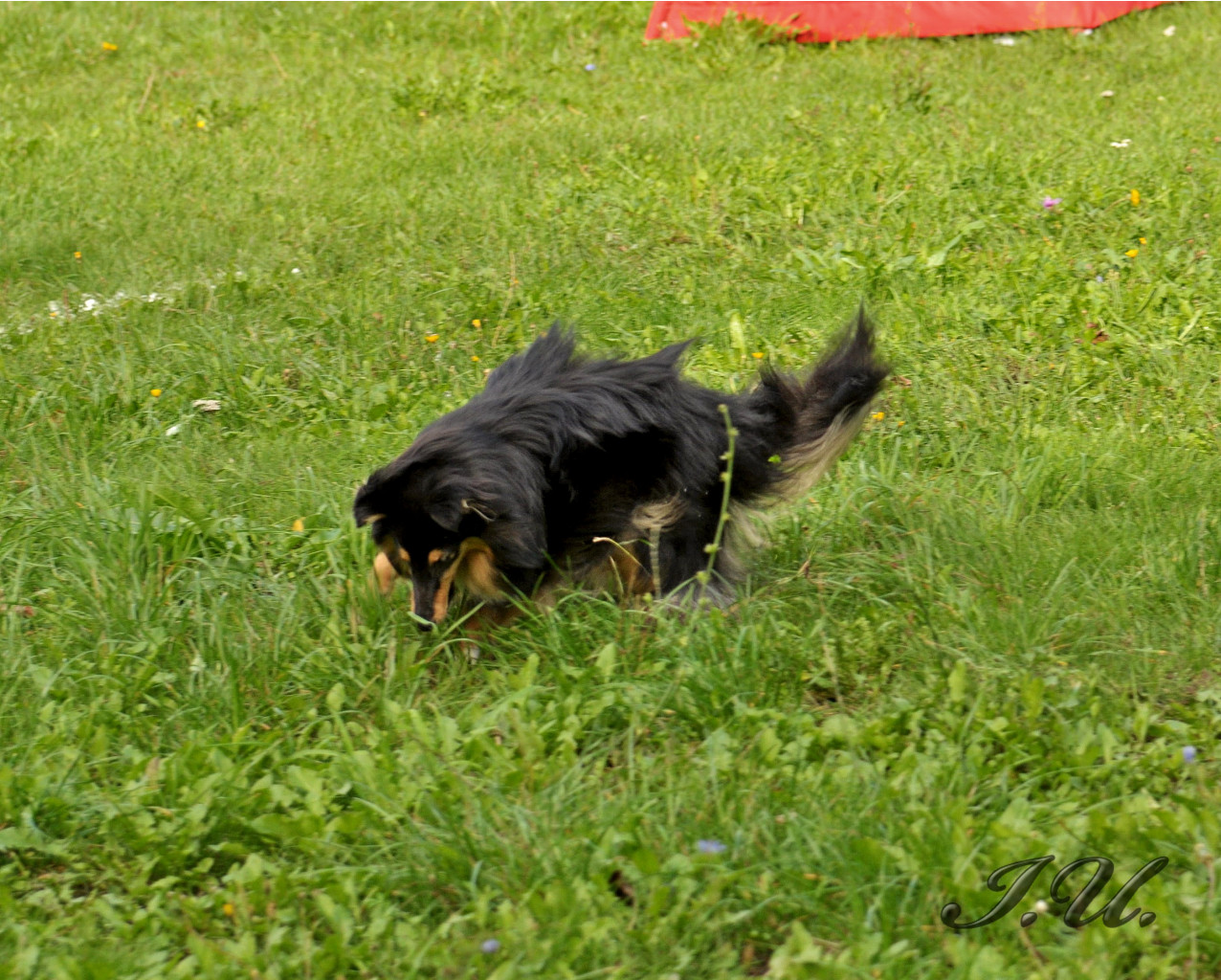 DSC_0028.jpg