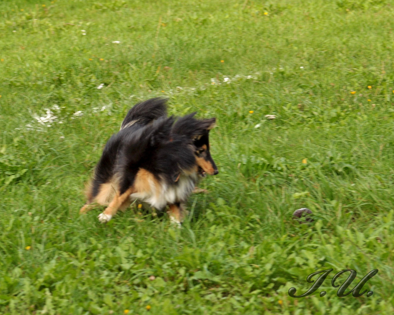 DSC_0029.jpg