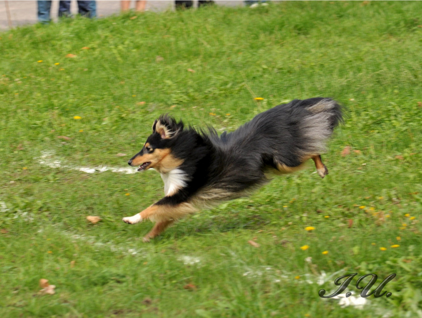 DSC_0031.jpg