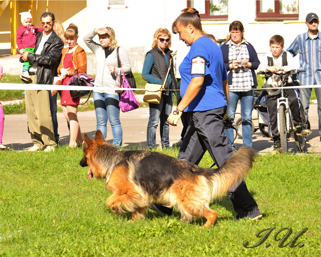 DSC_0082.jpg