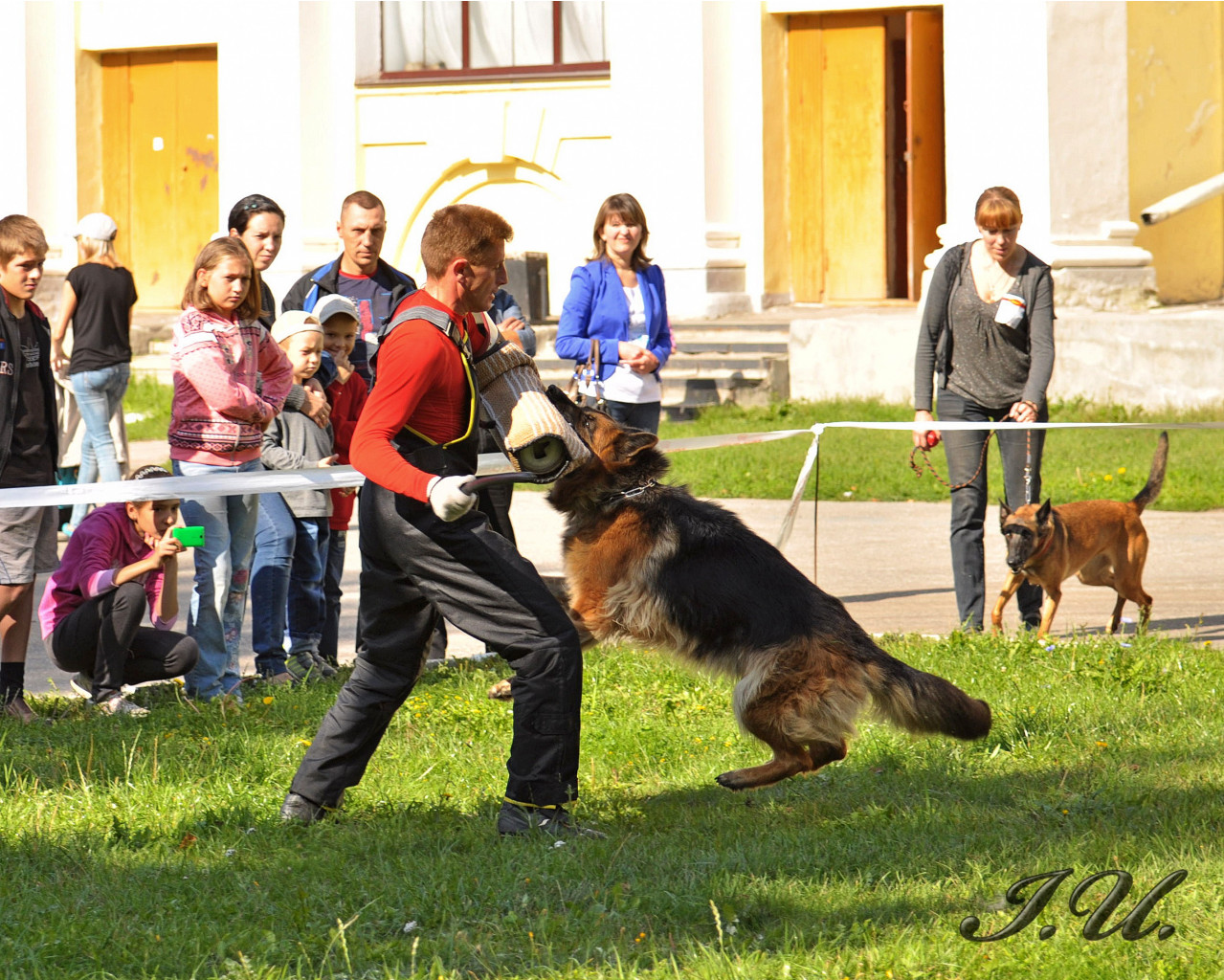 DSC_0085.jpg