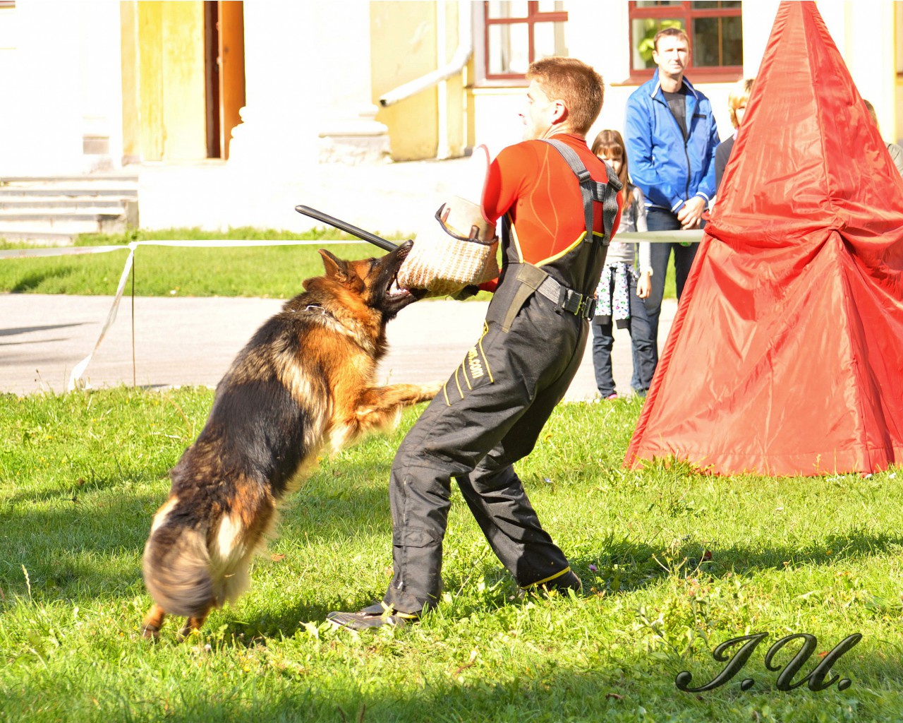 DSC_0089.jpg