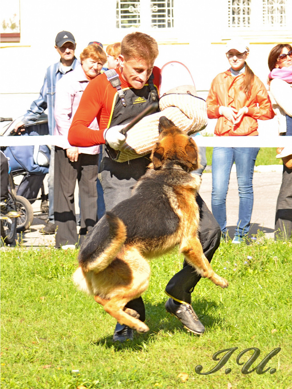 DSC_0104.jpg