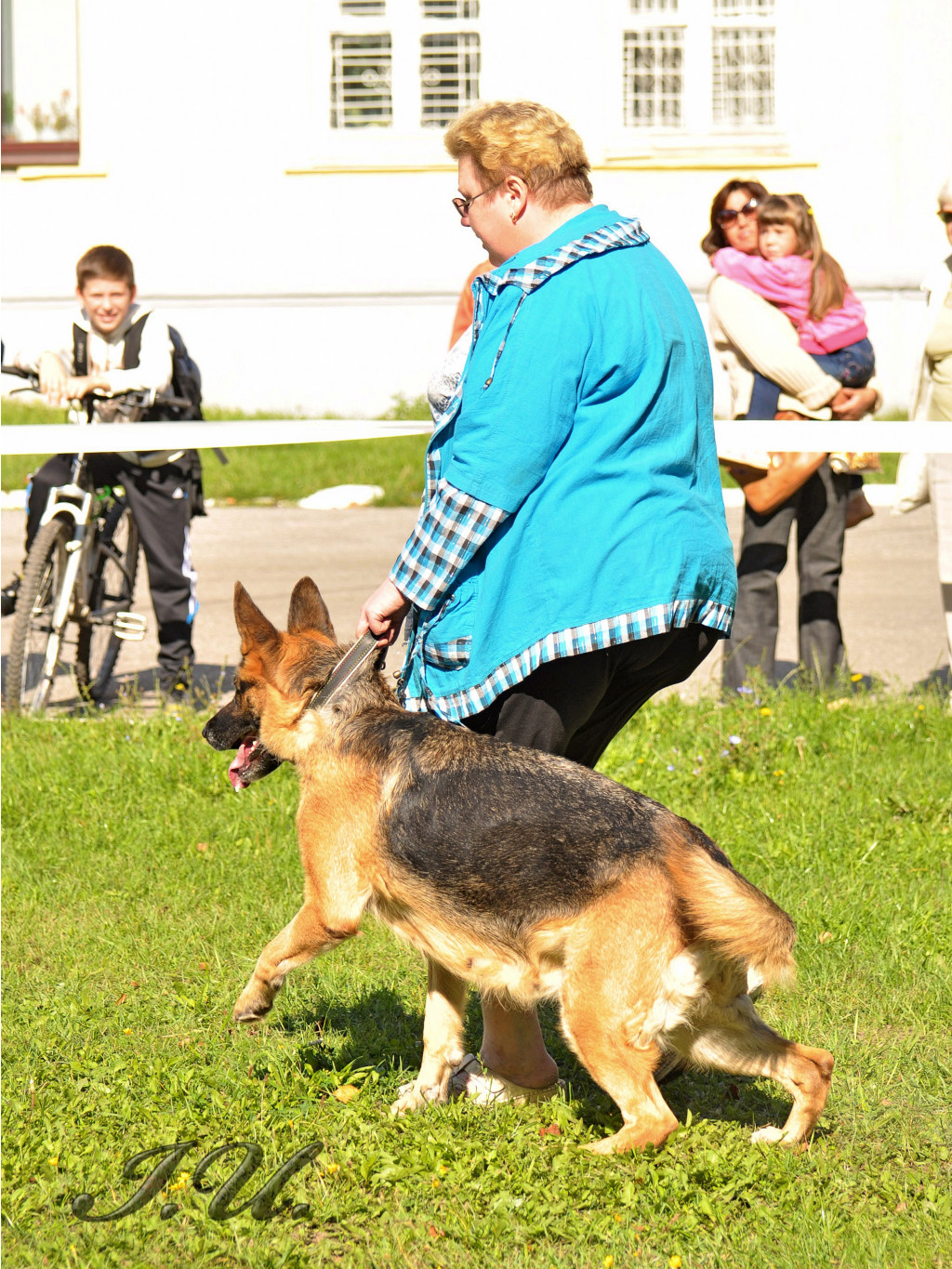 DSC_0133.jpg