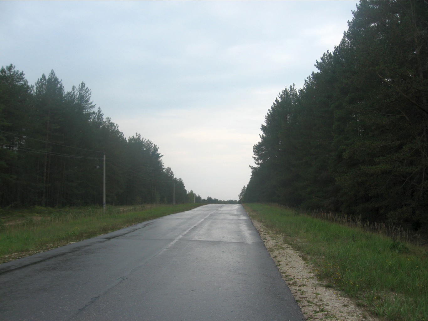 IMG_4589.JPG