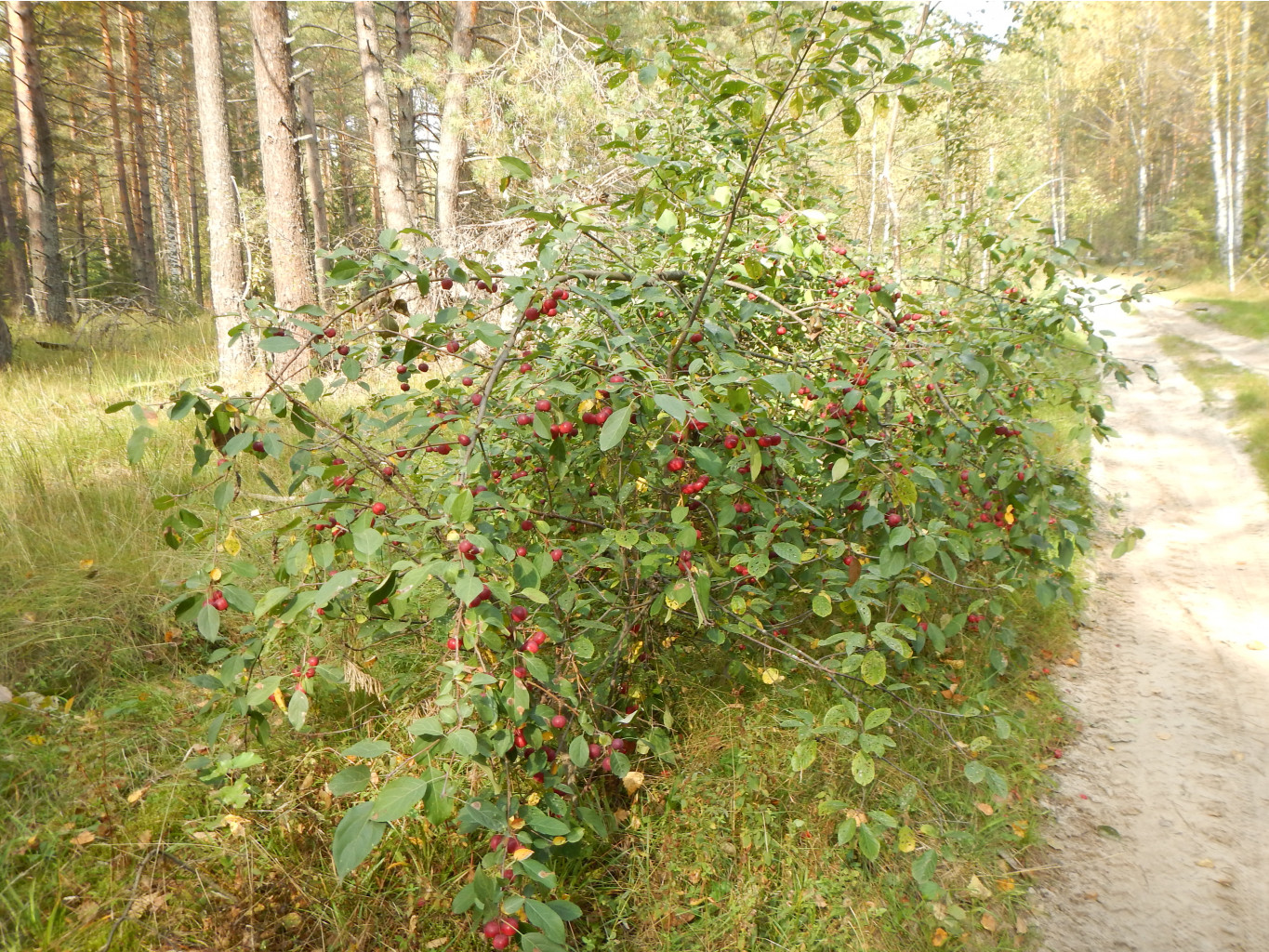 DSCN1047.JPG