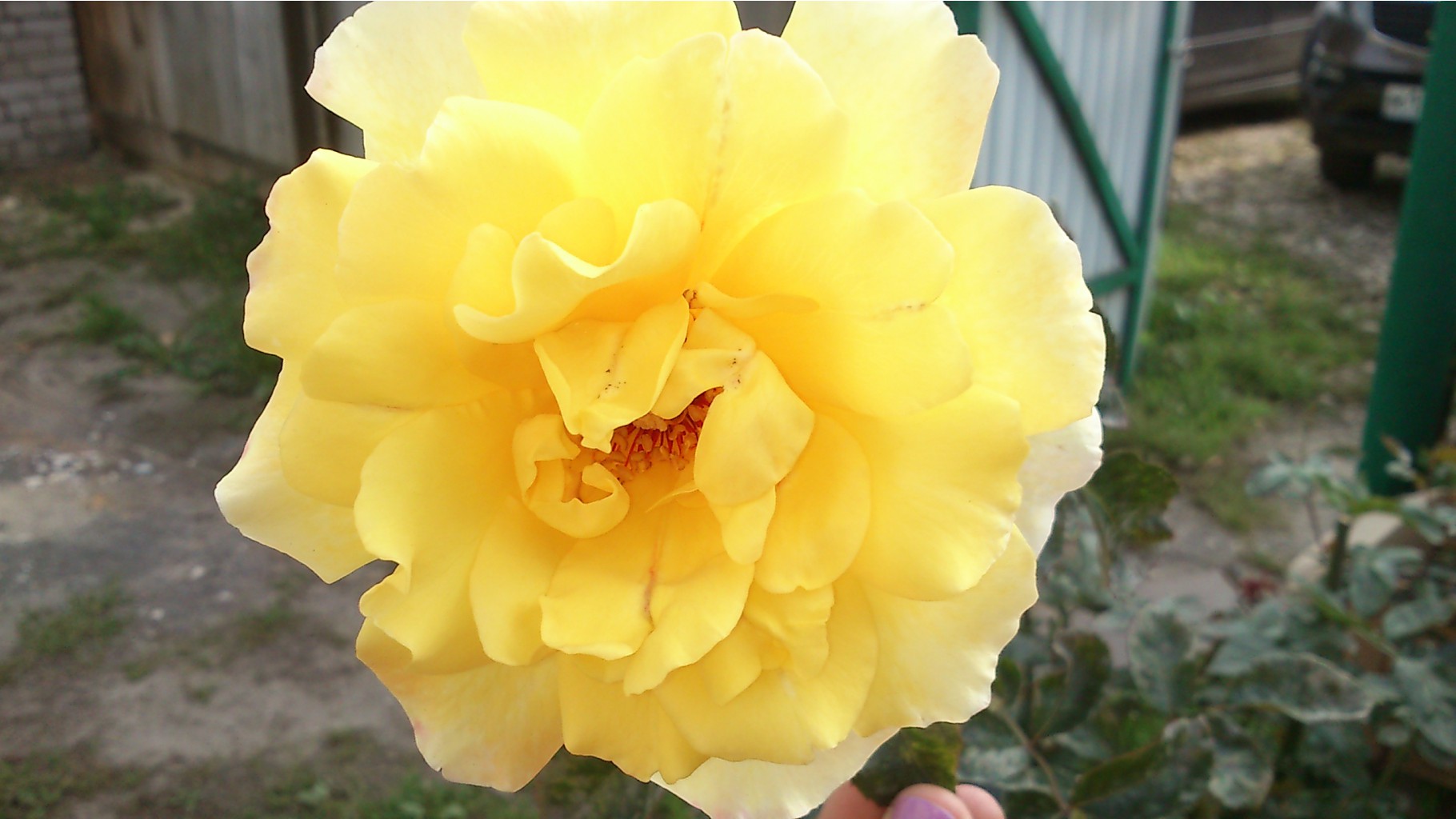 2014-09-13 11.53.26.jpg