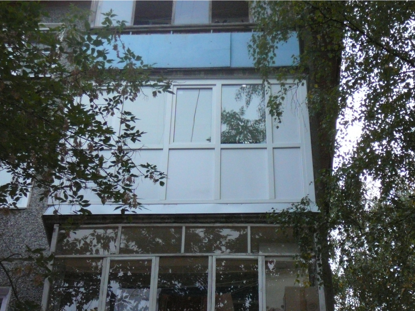 P1180205.JPG