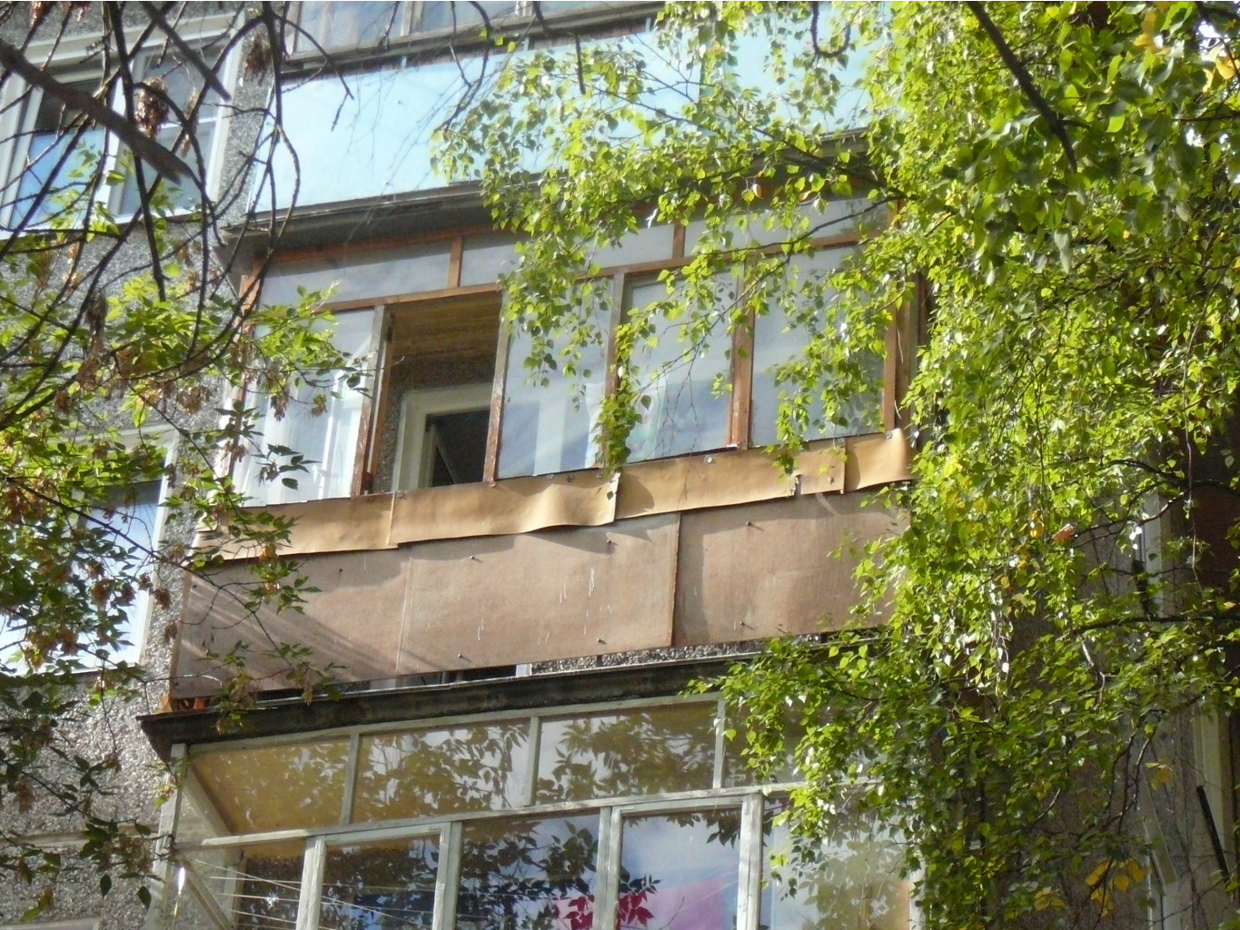 P1180164.JPG