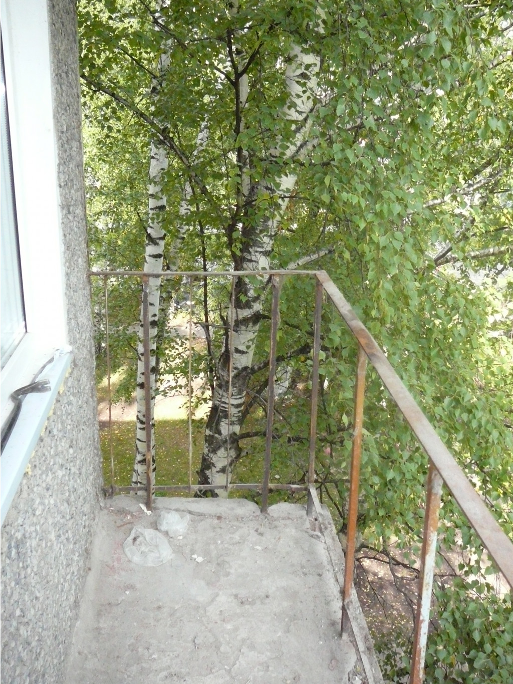 P1180170.JPG