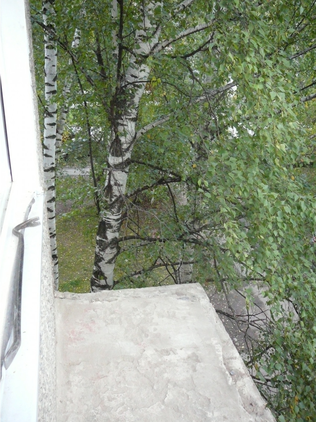 P1180173.JPG