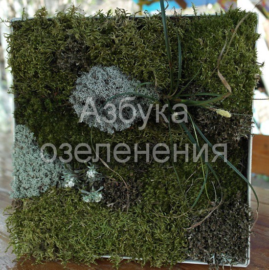 аживая картина.jpg