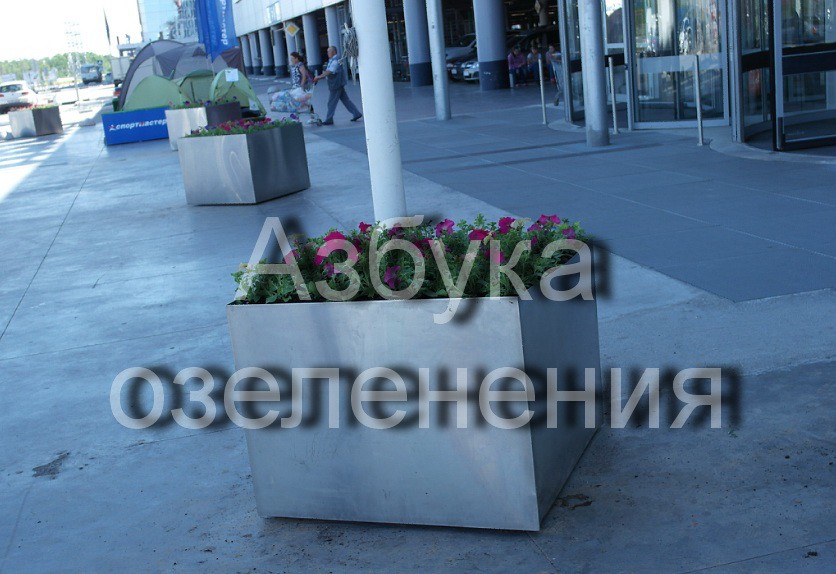 алето.jpg