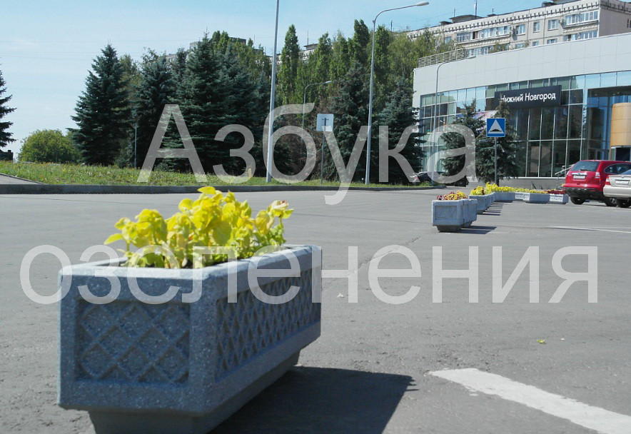 апарковка.jpg