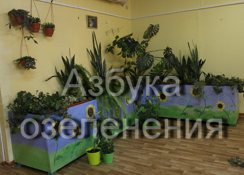 апроект зеленый уголок в школе.jpg