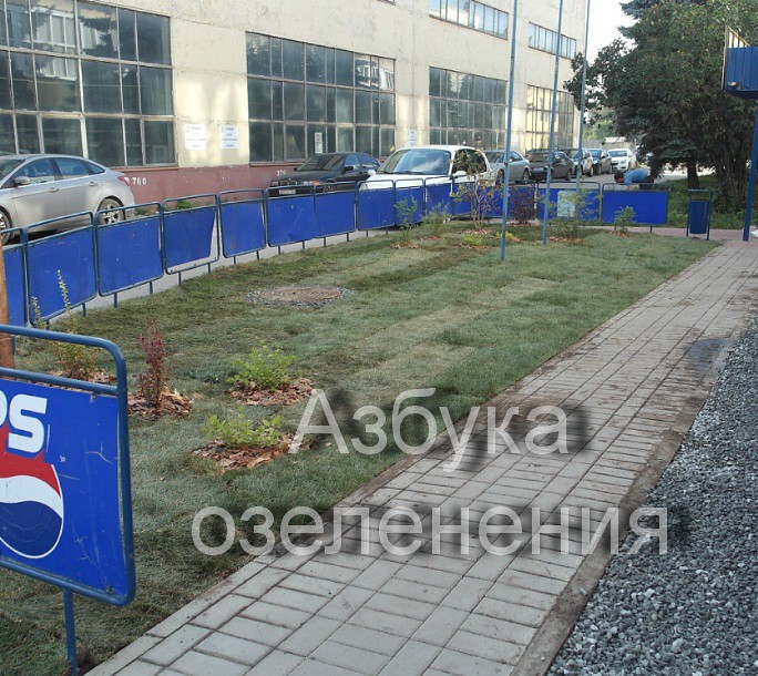 агазонный сад2.jpg