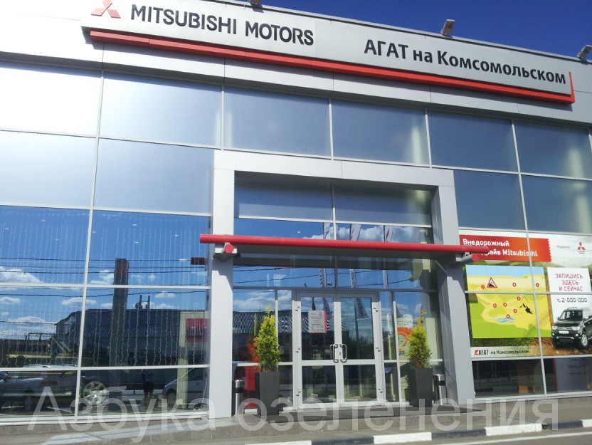 атуи2.jpg