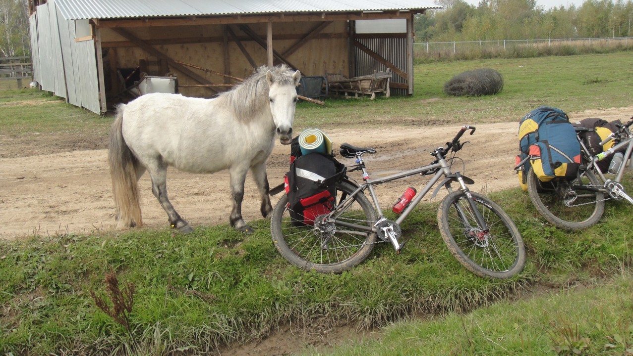 DSC09776.JPG