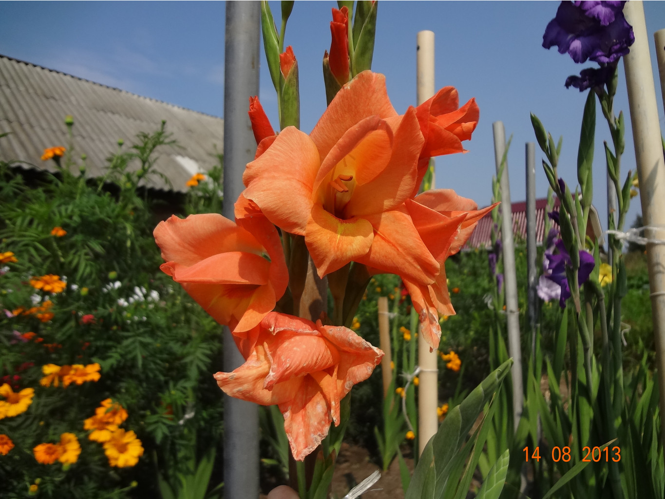 DSC00985.JPG