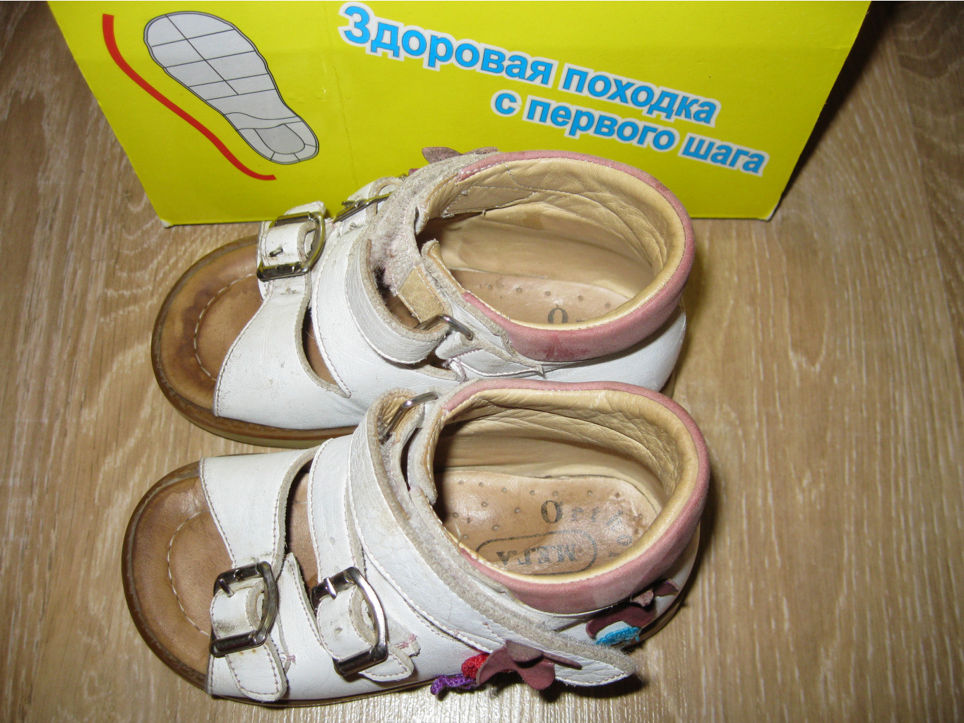 IMG_4642.JPG
