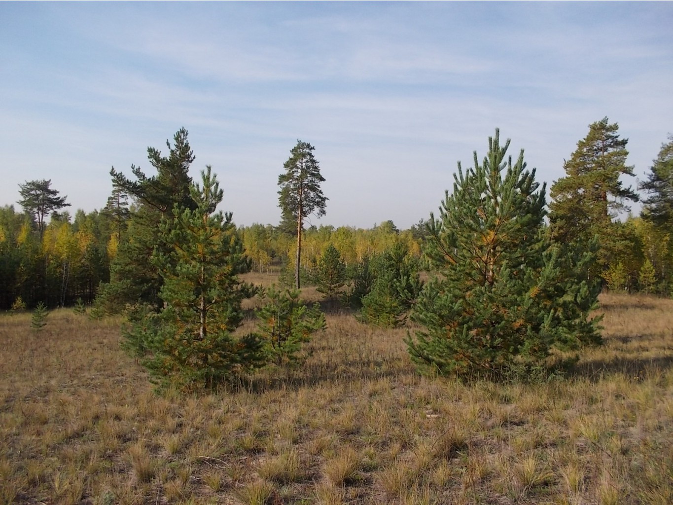 DSCN5979.JPG