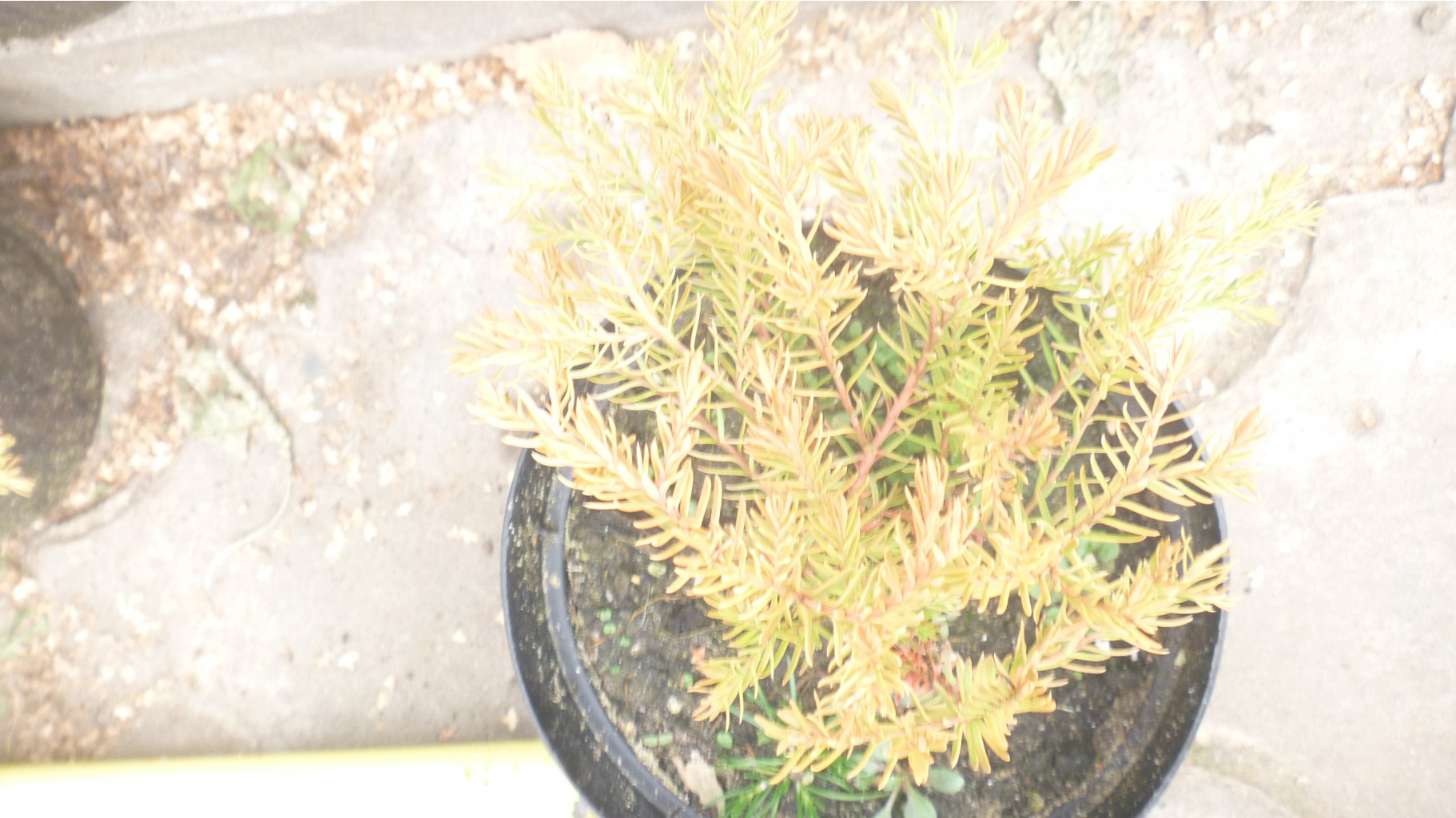P1090040.JPG