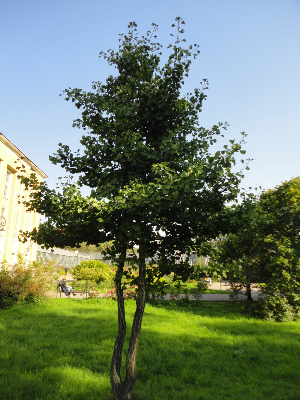 DSC06309.JPG