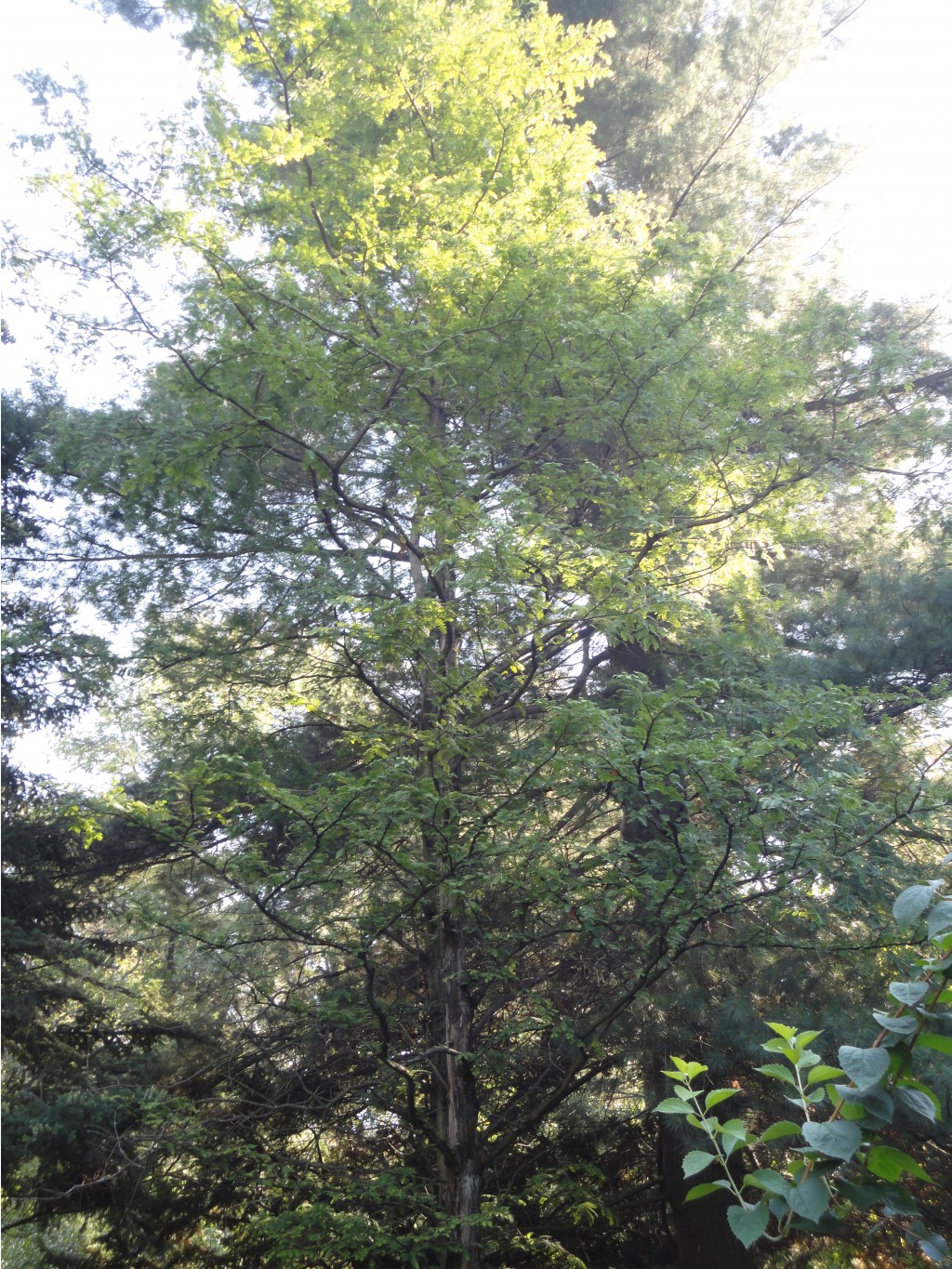DSC06326.JPG