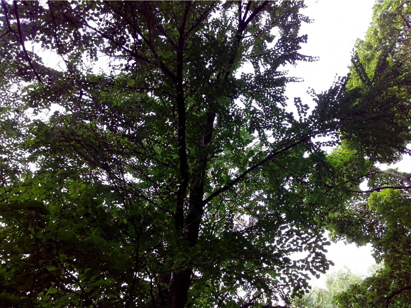 IMG_20140922_120105.jpg