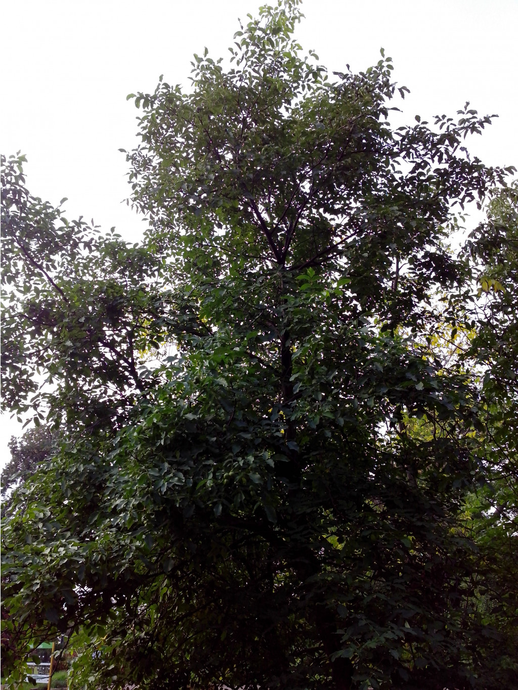 IMG_20140922_120540.jpg