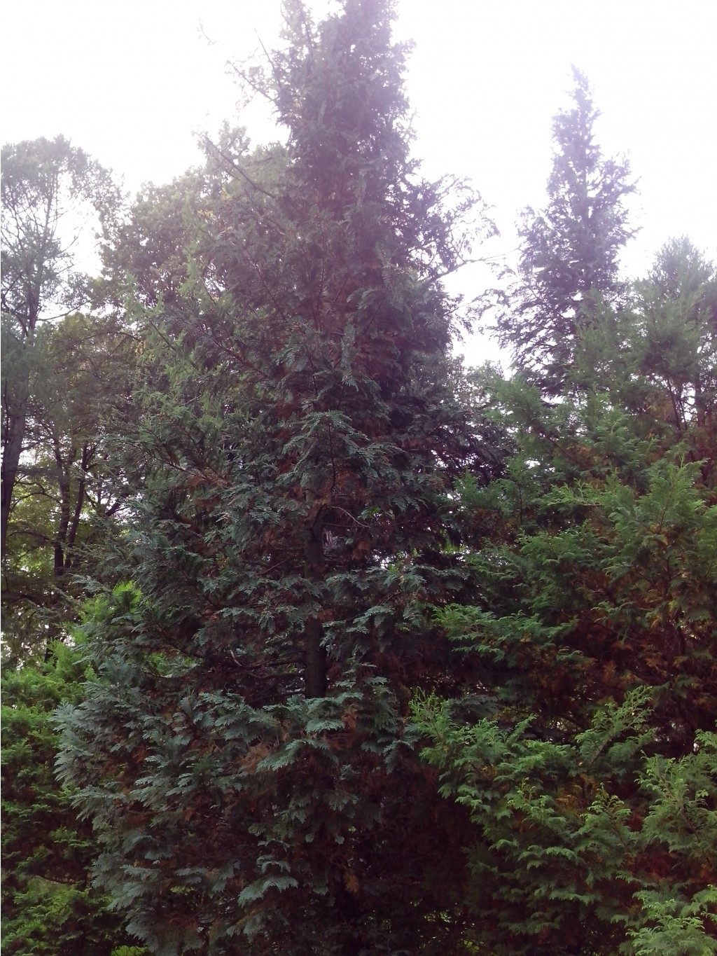 IMG_20140922_122213.jpg