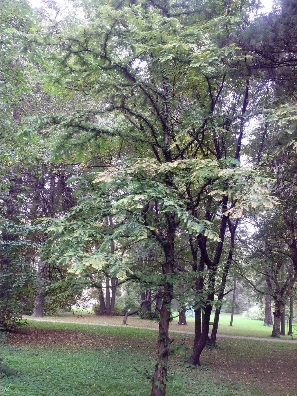 IMG_20140922_121736.jpg