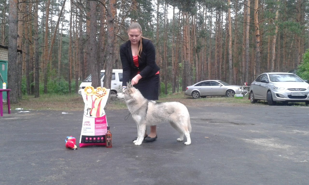 Bq2iulRkuT8.jpg