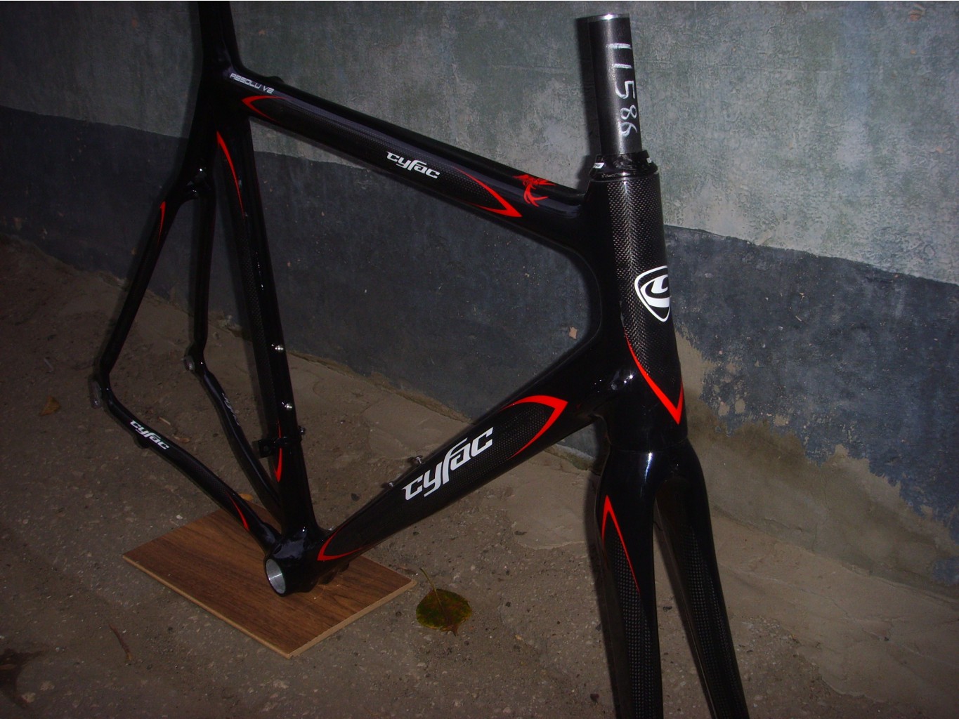 SSL24018.JPG