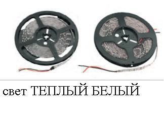   EC*O-35*28/ 60-IP*20-12V-  WW -5m ( )