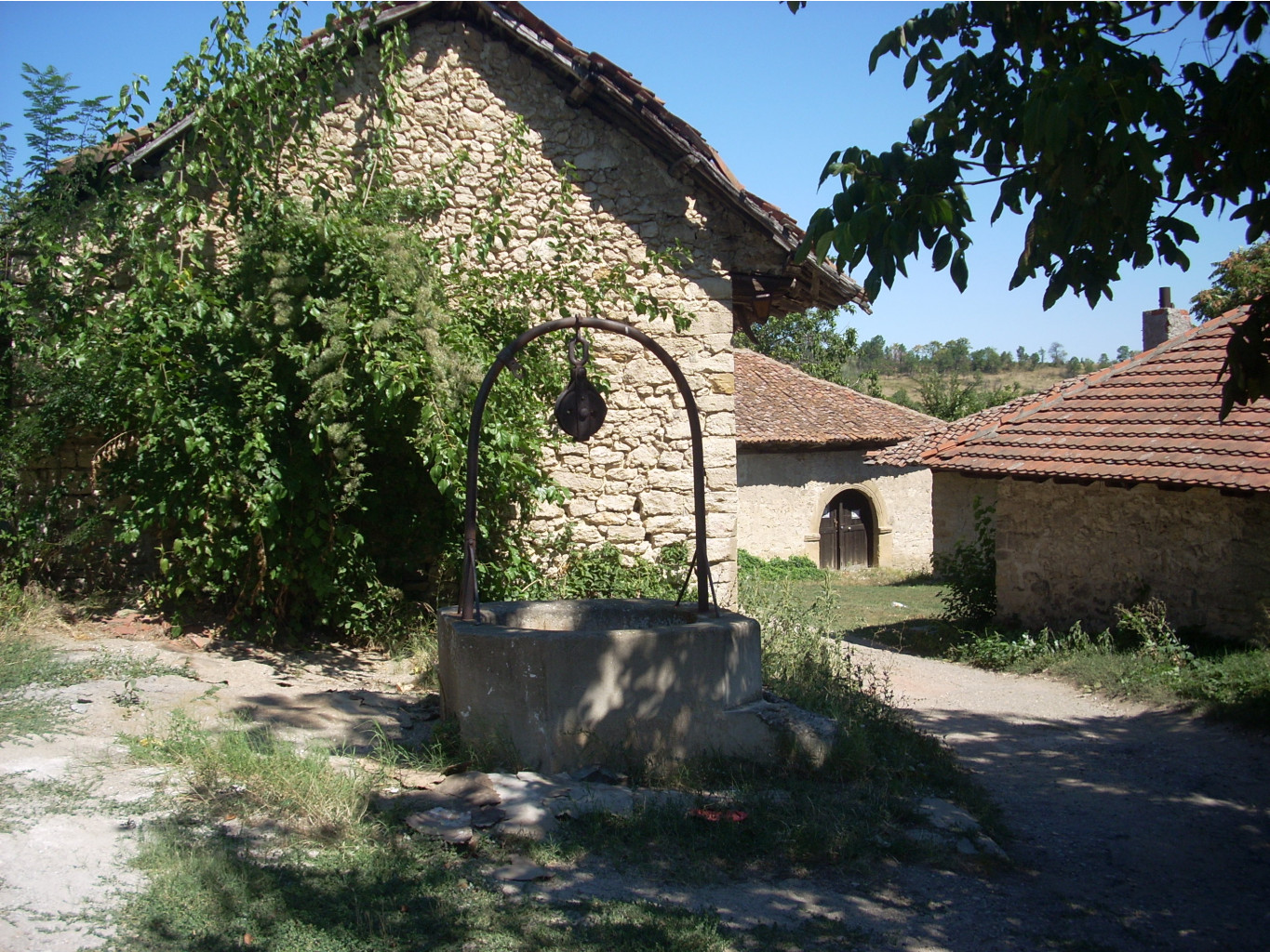  916.jpg