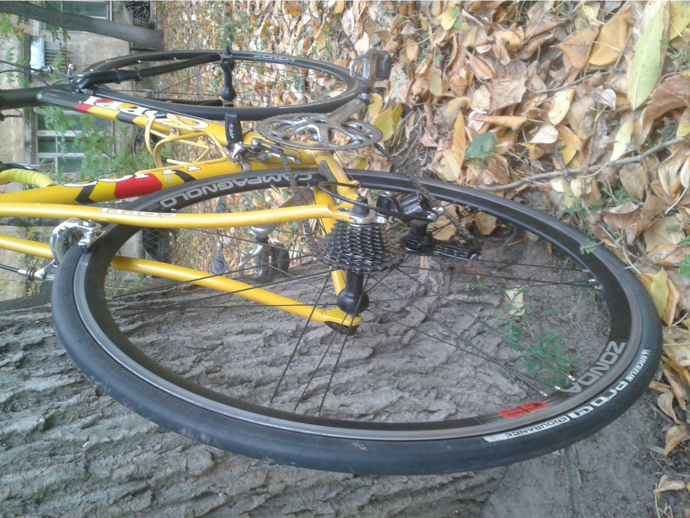 20141005_145119.jpg