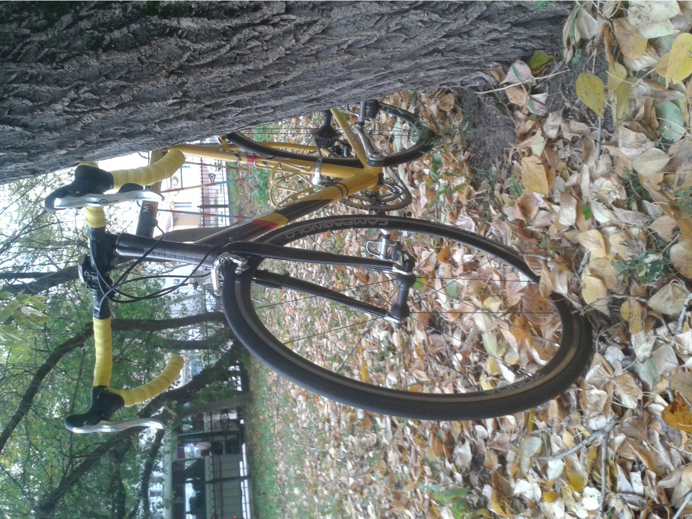 20141005_145418.jpg