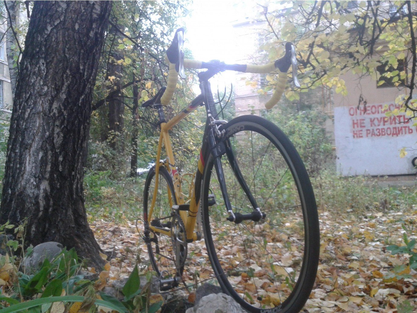 20141005_145842.jpg
